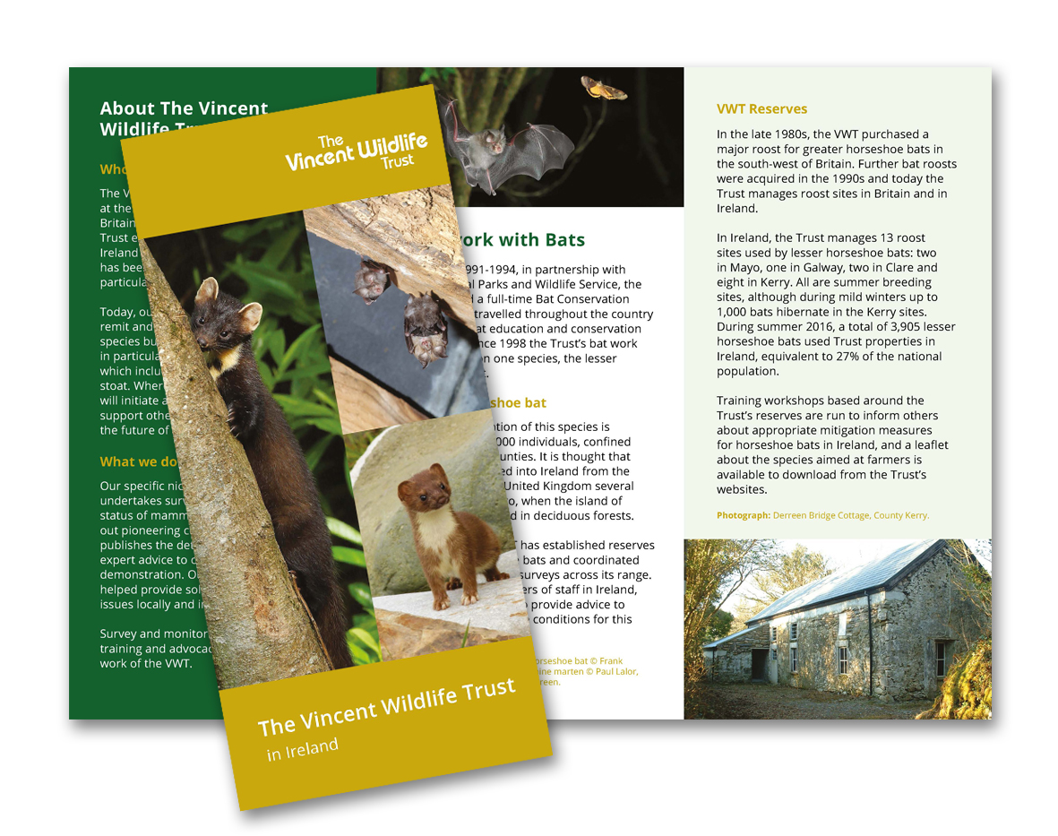 Overview – The Vincent Wildlife Trust